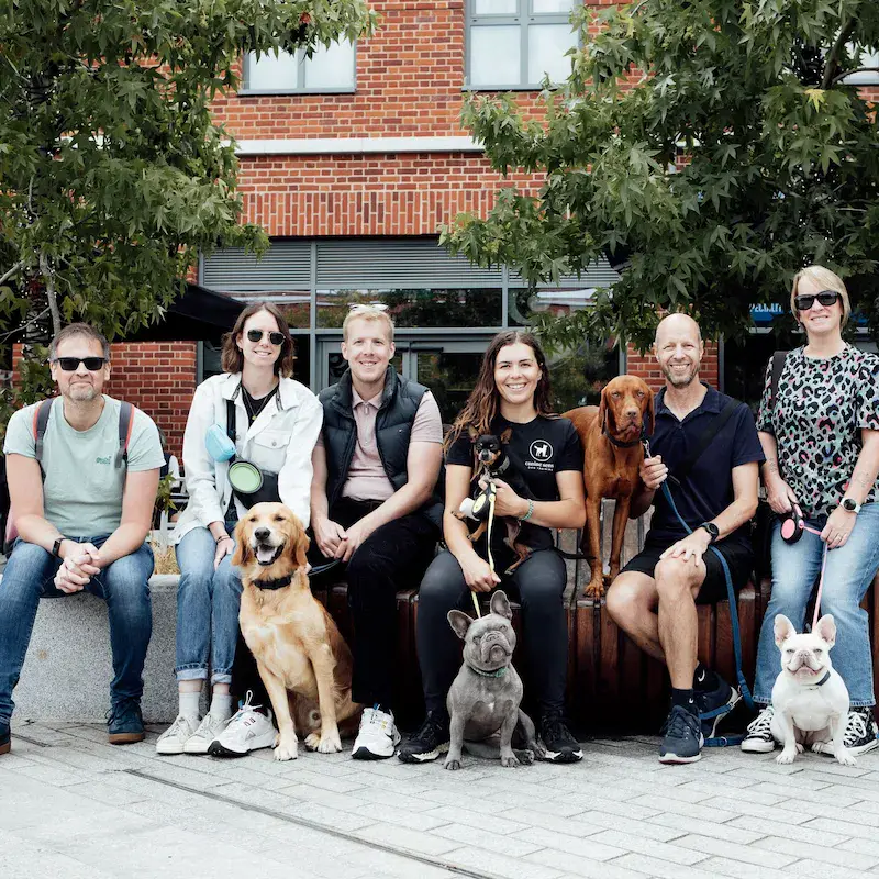 City Paws - Reading - Image 2