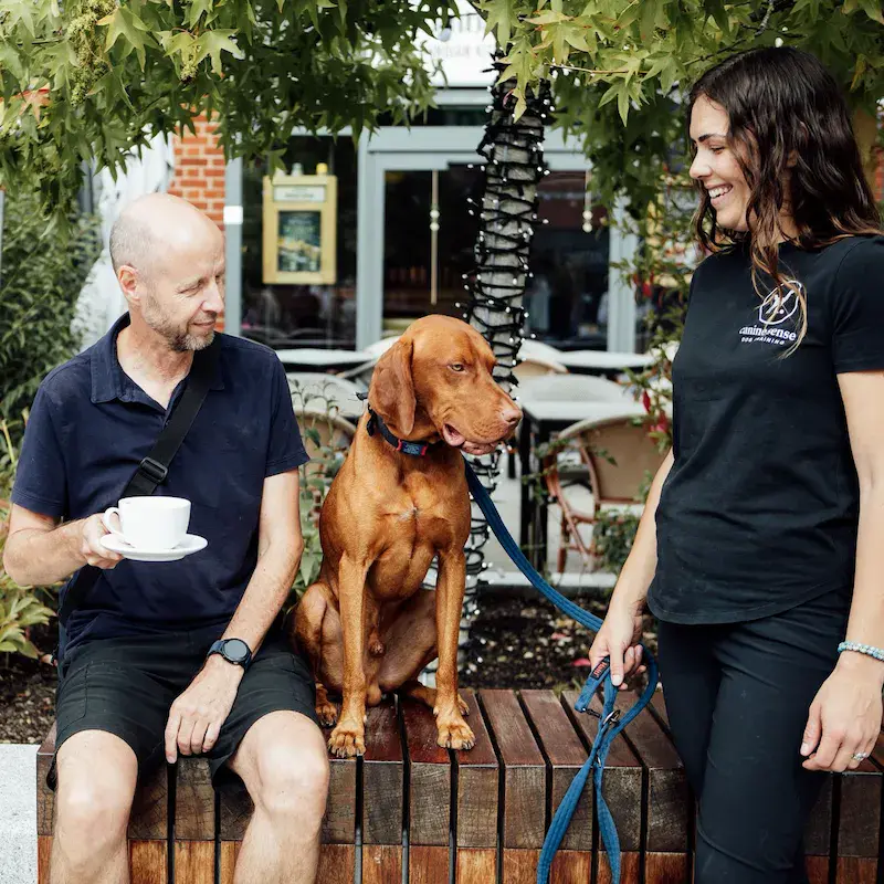 City Paws - Reading - Image 6