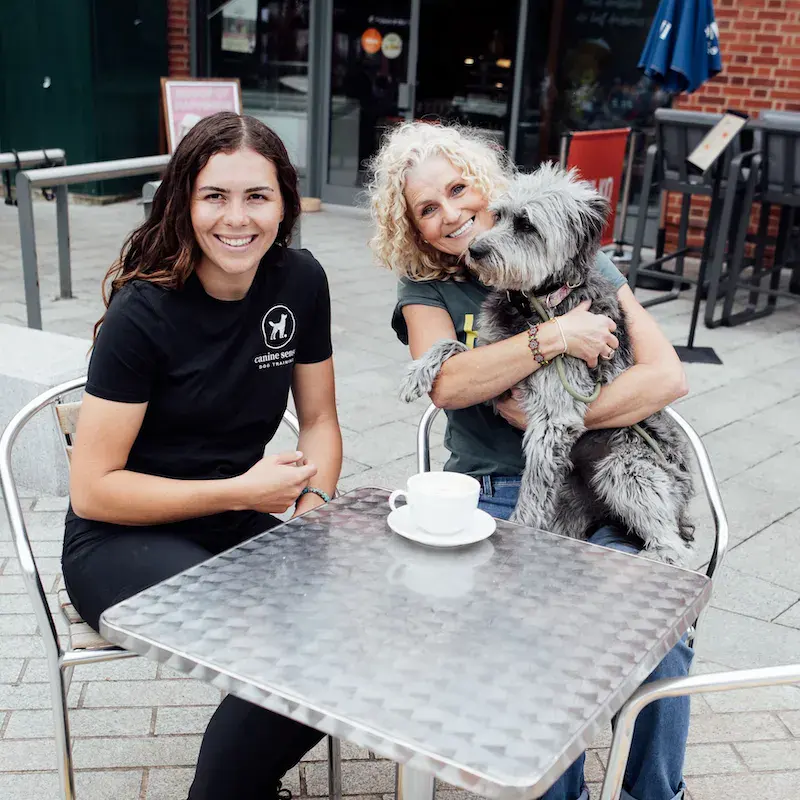 City Paws - Reading - Image 8